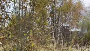 с. Константиново