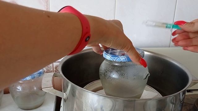 ПОСЕВ СЕМЯН ОРХИДЕЙ в домашних условиях. смотреть онлайн