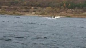 RIB ZANDER BL380 Hypalon & SUZUKI DF20 ATS /РИБ ЗАНДЕР БЛ380 Хипалон и Сузуки ДФ 20 АТС/