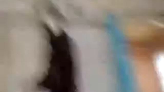 танец с ведром смотреть онлайн