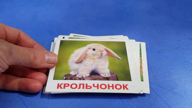 Повторяем животных смотреть онлайн