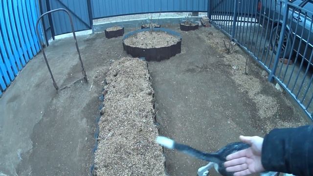 КУПИЛИ ДОМ В ДЕРЕВНЕ//Вернули обратно цыплят//Убираюсь в цветнике//Клею семена моркови на бумагу смотреть онлайн