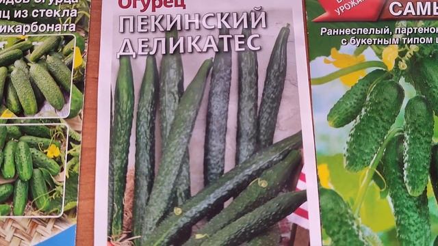 Огурцы ? обзор семян. Классная дача. смотреть онлайн
