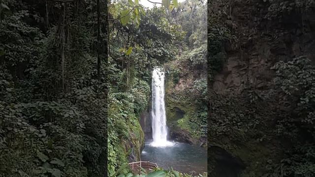 Costa Rica. La Paz Waterfall Garden.