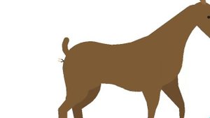 Deer Anal Vore (Request)