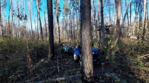 заготовка дров. транспортные работы на китайском минитракторе