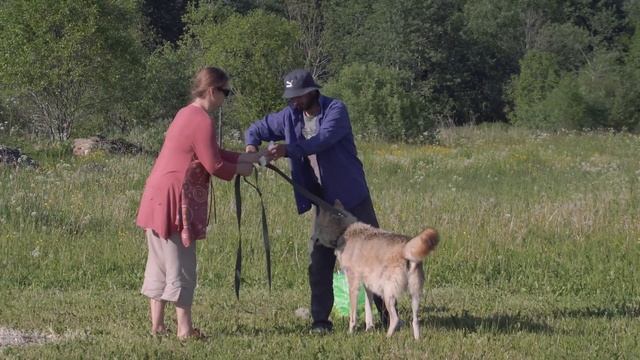 Ярик. Последняя съёмка.