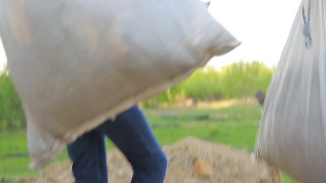 Привет лето смотреть онлайн