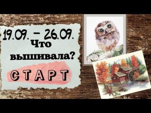 119. Продвижения за неделю | Dimensions, СТАРТ Овен "Удивление" |  Вышивка крестом