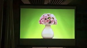 CAIWEI D5 Mini 3D DLP Projector