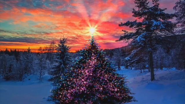 ..пристав вызовет МЧС,участкового и понятых для проникновения в квартиру))))) смотреть онлайн