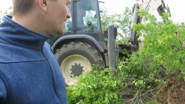Как расчистить участок. Удаление деревьев и поросли