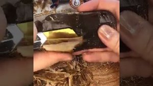 Резка мыла. Дегтярное мыло. Мой любимчик от ЕЖК