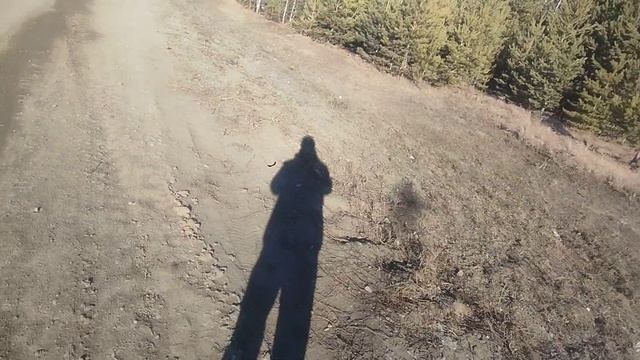 REDMI NOTE 11 CAMERA TEST 1080p 30fps на ширике (чё за блоха на экране?) смотреть онлайн