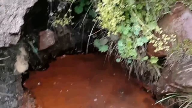 Уникальные источники "Кислые"! смотреть онлайн