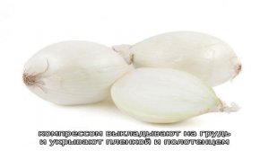 Сравниваем, чем отличается красный лук от обычного и выбираем лучший