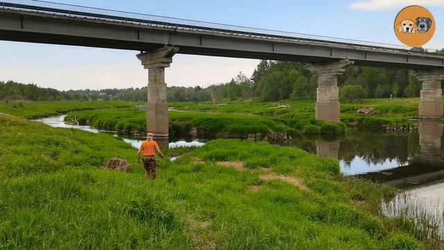 Купание на реке Угре смотреть онлайн