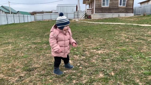 Алабай Чёрная Роза 🌹 душевное видео:) смотреть онлайн