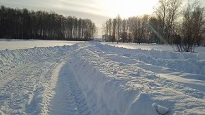 Домик в деревне. Снега в этом году уже больше в несколько раз чем в прошлом.