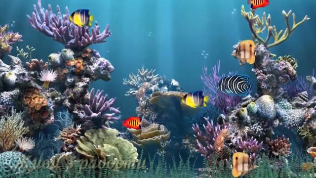 Медитация вечерняя очищающая. смотреть онлайн