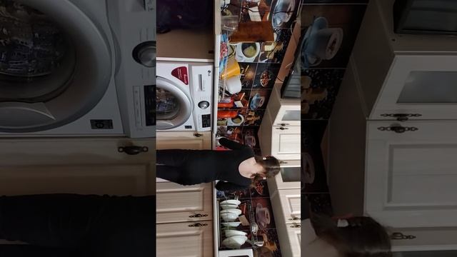 сегодня я решила помочь маме и помыла посуду смотреть онлайн