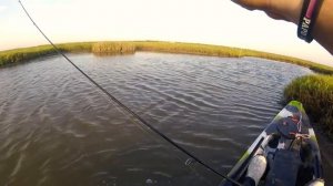 KAYAK FISHING ROCKPORT, TX, SMALL GULP SHRIMP GETS IT DONE AGAIN!