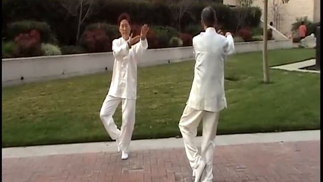 Two people mirror Tai Chi form 24 смотреть онлайн
