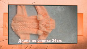 Вязаный комбинезон с капюшоном  для собаки