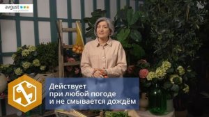 Жукоед от колорадского жука. Инструкция и особенности применения