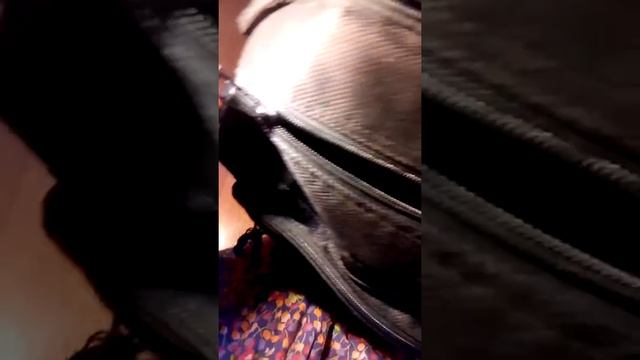 Сумка для коньков смотреть онлайн