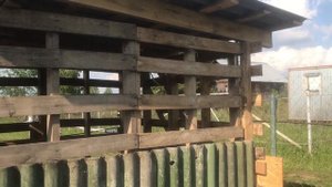 Курятник из поддонов. Делаем своими руками. День 8. Вышли на финишную прямую!!!