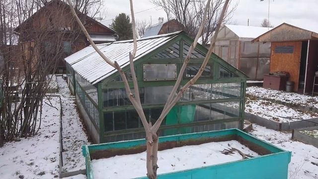 Манчжурский орех смотреть онлайн