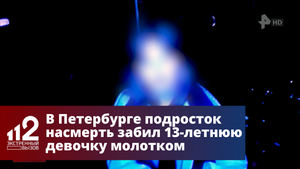 В Петербурге подросток насмерть забил 13-летнюю девочку молотком