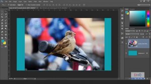 Page setup in Photoshop Class -2 || Crop Tool, Perspective crop Tool (Hindi)