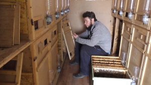 ГНИЛЕЦ / РАСШИРЕНИЕ СЕМЕЙ / ПРОСТЫЕ СОВЕТЫ .