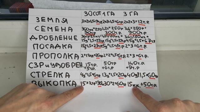 РЕНТАБЕЛЬНОСТЬ ВЫРАЩИВАНИЯ ЧЕСНОКА НА ПЛОШАДИ: 30 СОТОК, 1 ГА, 3 ГА