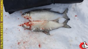 Рыбалка на жерлицы в марте..avi