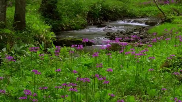 Мои стихи про индейцев. Красивая весенняя сказка про индейскую Золушку. Ошегейяс. Часть 2 смотреть онлайн