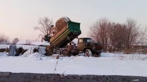 ЗИЛ-131 дизель завозим сено  по снегу в целик
