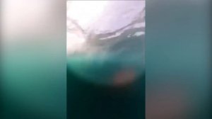 Кит столкнулся с серфингистом в Австралии.Whale collided with surfer in Australia