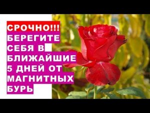 Срочно!!! Берегите себя и своих родных. Ближайшие 5 суток будут сложными и напряженными для здоровья