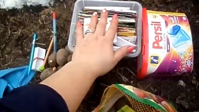 Сибирь .Эксперимент .Посадка в теплице 4 апреля . смотреть онлайн