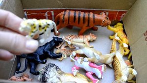 ОБЗОР!//В МИРЕ ХИЩНЫХ ЖИВОТНЫХ!// IN THE WORLD OF PREVENTIVE ANIMALS!