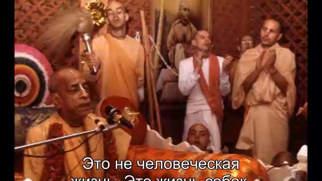 Prabhupada 0745 Не зависимо от того верите вы или нет слова Кришны не могут быть ложными