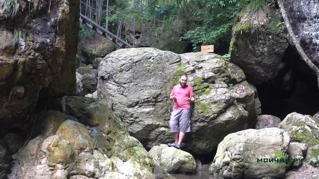 Почему "чёрный чай" на самом деле красный. Ошибки перевода смотреть онлайн