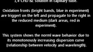 Excitation waves in a one-dimensional 1,4-CHD Belousov-Zhabotinsky system with normal behavior