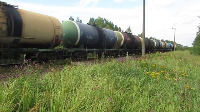 Тепловоз 2ТЭ116У-0193 в новых цветах. О.п. 246 км смотреть онлайн