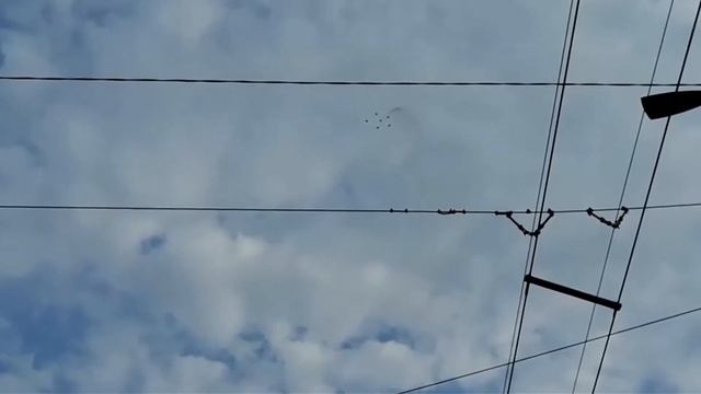 «Стрижи» в Барнауле на День города смотреть онлайн