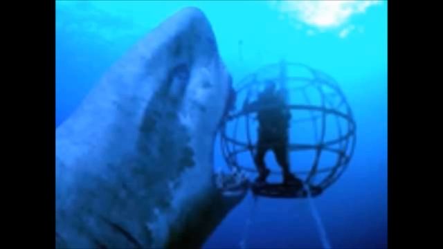 World's Largest Shark/Animal Ever CAUGHT ON CAMERA THE MEGALODON? смотреть онлайн