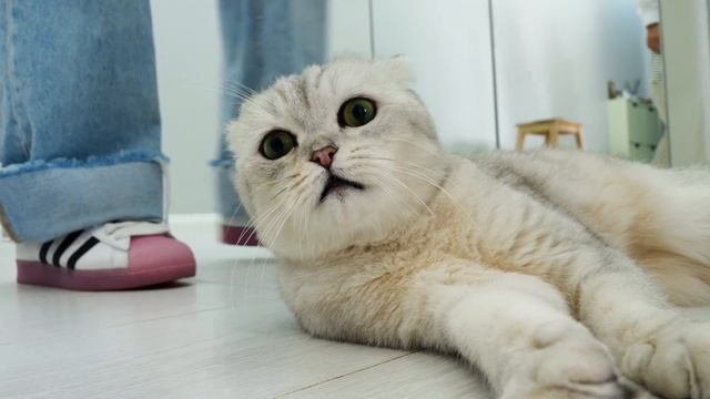 Ремонт в хрущевке за 25 тыс$. Реальный обзор в преобразованном "бабушатнике" смотреть онлайн